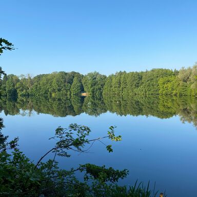 Der Badesee in der Nähe von Meezen mit Bäumen rundherum
