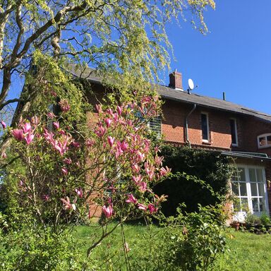 rosa Magnolien vor der Südseite des Hauses mit Blick auf die Terrassentüren und einige Gartenmöbel