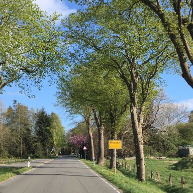 Baumgesäumte Straße nach Meezen mit gelbem Ortsschild rechts an der Straße